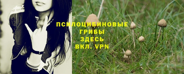 мет Арсеньев
