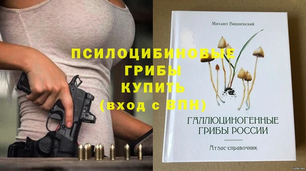 мет Арсеньев